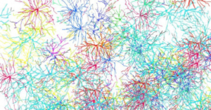 Neuronen Gehirn